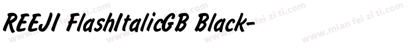 REEJI FlashItalicGB Black字体转换